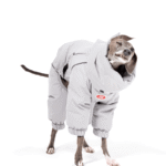 White duck down High Neck Four-legged jumpsuit Greyhound Clothes - Image 4