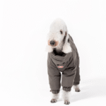 White duck down High Neck Four-legged jumpsuit Greyhound Clothes - Image 10