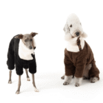 Cozy Contrast Fleece Jumpsuit - Four-Leg Thermal Pajamas for Small to Large Dogs - Image 2