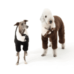 Cozy Contrast Fleece Jumpsuit - Four-Leg Thermal Pajamas for Small to Large Dogs