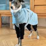 Fleece Jacket Windproof Greyhound Clothes - Image 2