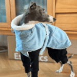 Fleece Jacket Windproof Greyhound Clothes - Image 5