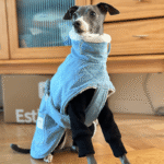 Fleece Jacket Windproof Greyhound Clothes - Image 4