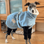 Fleece Jacket Windproof Greyhound Clothes