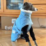 Fleece Jacket Windproof Greyhound Clothes - Image 7