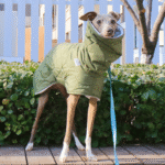 Cotton High Neck Windproof Greyhound Clothes - Image 7