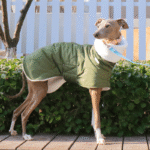 Cotton High Neck Windproof Greyhound Clothes - Image 2