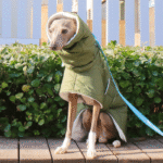 Cotton High Neck Windproof Greyhound Clothes - Image 10