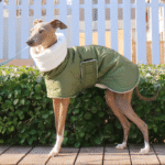 Cotton High Neck Windproof Greyhound Clothes