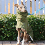Cotton High Neck Windproof Greyhound Clothes - Image 3