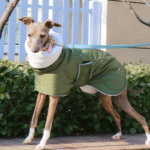 Cotton High Neck Windproof Greyhound Clothes - Image 8