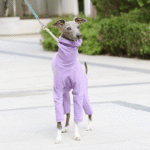 Cotton Sighthound Pajamas - High-Neck Base Layer for Whippets & Italian Greyhounds - Image 3