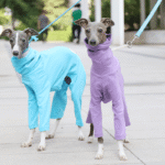Cotton Sighthound Pajamas - High-Neck Base Layer for Whippets & Italian Greyhounds - Image 6
