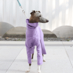 Cotton Sighthound Pajamas - High-Neck Base Layer for Whippets & Italian Greyhounds - Image 4