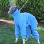 Cozy Solid Fleece Jumpsuit - High-Neck Thermal Base Layer for Whippets & Italian Greyhounds - Image 5