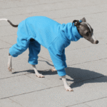 Cozy Solid Fleece Jumpsuit - High-Neck Thermal Base Layer for Whippets & Italian Greyhounds