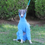 Cozy Solid Fleece Jumpsuit - High-Neck Thermal Base Layer for Whippets & Italian Greyhounds - Image 3