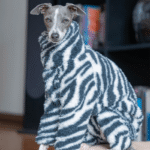 Zebra Print Fleece Dog Jumpsuit - Warm High-Neck Onesie for Italian Greyhounds & Whippets - Image 5