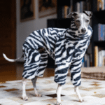 Zebra Print Fleece Dog Jumpsuit - Warm High-Neck Onesie for Italian Greyhounds & Whippets - Image 2