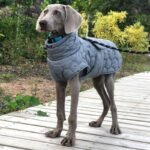 Insulated Quilted Padded Vest - High-Neck Snow & Windproof Coat for Large & Deep-Chested Dogs - Image 3