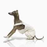 Cotton Pants Outdoor Greyhound Clothes - Image 5
