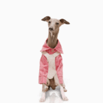 Cotton Pants Outdoor Greyhound Clothes - Image 7