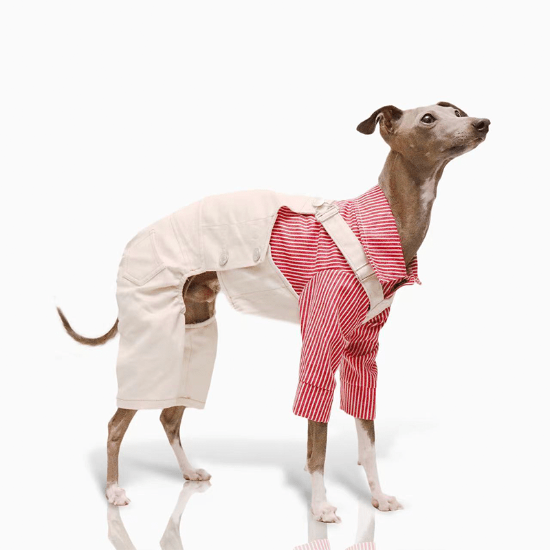 dog-pants-pinafore-denim-cotton-clothes-easy-wear-7064019.png Cotton Pants Outdoor Greyhound Clothes - Image 1