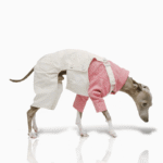 Cotton Pants Outdoor Greyhound Clothes - Image 8