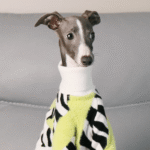 Designer Zebra Knit Sweater - High-Collar Faux Mink Fur Jumper for Italian Greyhounds & Whippets - Image 5