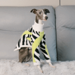 Designer Zebra Knit Sweater - High-Collar Faux Mink Fur Jumper for Italian Greyhounds & Whippets
