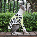 Designer Zebra Knit Sweater - High-Collar Faux Mink Fur Jumper for Italian Greyhounds & Whippets - Image 6