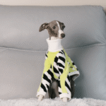 Designer Zebra Knit Sweater - High-Collar Faux Mink Fur Jumper for Italian Greyhounds & Whippets - Image 3