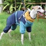 Dog Snowsuit | Full Body Four-Legged Jumpsuit, Warm Winter Pet Coat for Cold Weather - Image 3