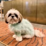 Luxury Pink Feather Trim Dog Sweater - Warm Knit Turtleneck for Italian Greyhounds - Image 11