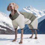 Full-Body Dog Snowsuit | Winter Coat with Back Zipper & High Collar, Padded Fleece-Lined Body Warmer - Image 5
