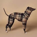 Double-faced Pile High Neck Four-legged jumpsuit Greyhound Clothes