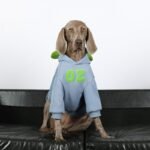 Sporty Fleece Lined Hoodie - "OZ" Graphic Thermal Sweatshirt for All Dog Sizes