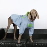 Sporty Fleece Lined Hoodie - "OZ" Graphic Thermal Sweatshirt for All Dog Sizes - Image 2