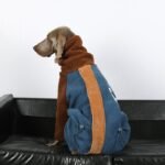 Heavyweight Fleece Jumpsuit - Color Block Thermal Onesie for Big Dogs & Athletic Breeds - Image 4