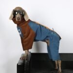 Heavyweight Fleece Jumpsuit - Color Block Thermal Onesie for Big Dogs & Athletic Breeds - Image 3