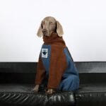 Heavyweight Fleece Jumpsuit - Color Block Thermal Onesie for Big Dogs & Athletic Breeds