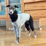 Two-Tone Fleece Lined Dog Jumpsuit - Warm Four-Legged Pajamas for Italian Greyhounds - Image 2