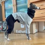 Two-Tone Fleece Lined Dog Jumpsuit - Warm Four-Legged Pajamas for Italian Greyhounds - Image 4