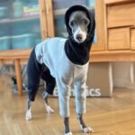 Two-Tone Fleece Lined Dog Jumpsuit - Warm Four-Legged Pajamas for Italian Greyhounds - Image 6