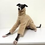 Double-faced Pile High Neck Four-legged jumpsuit Greyhound Clothes - Image 3