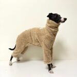 Double-faced Pile High Neck Four-legged jumpsuit Greyhound Clothes