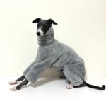 Double-faced Pile High Neck Four-legged jumpsuit Greyhound Clothes - Image 3