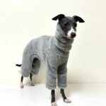 Double-faced Pile High Neck Four-legged jumpsuit Greyhound Clothes - Image 5