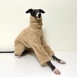 Double-faced Pile High Neck Four-legged jumpsuit Greyhound Clothes - Image 4