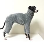 Double-faced Pile High Neck Four-legged jumpsuit Greyhound Clothes - Image 2